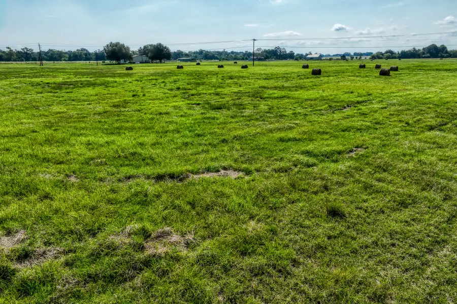 31 Pee Dee Lane Lane, Madisonville, TX 77864 - #2