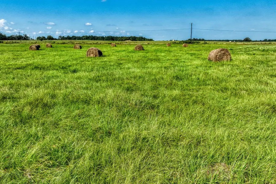31 Pee Dee Lane Lane, Madisonville, TX 77864 - #3
