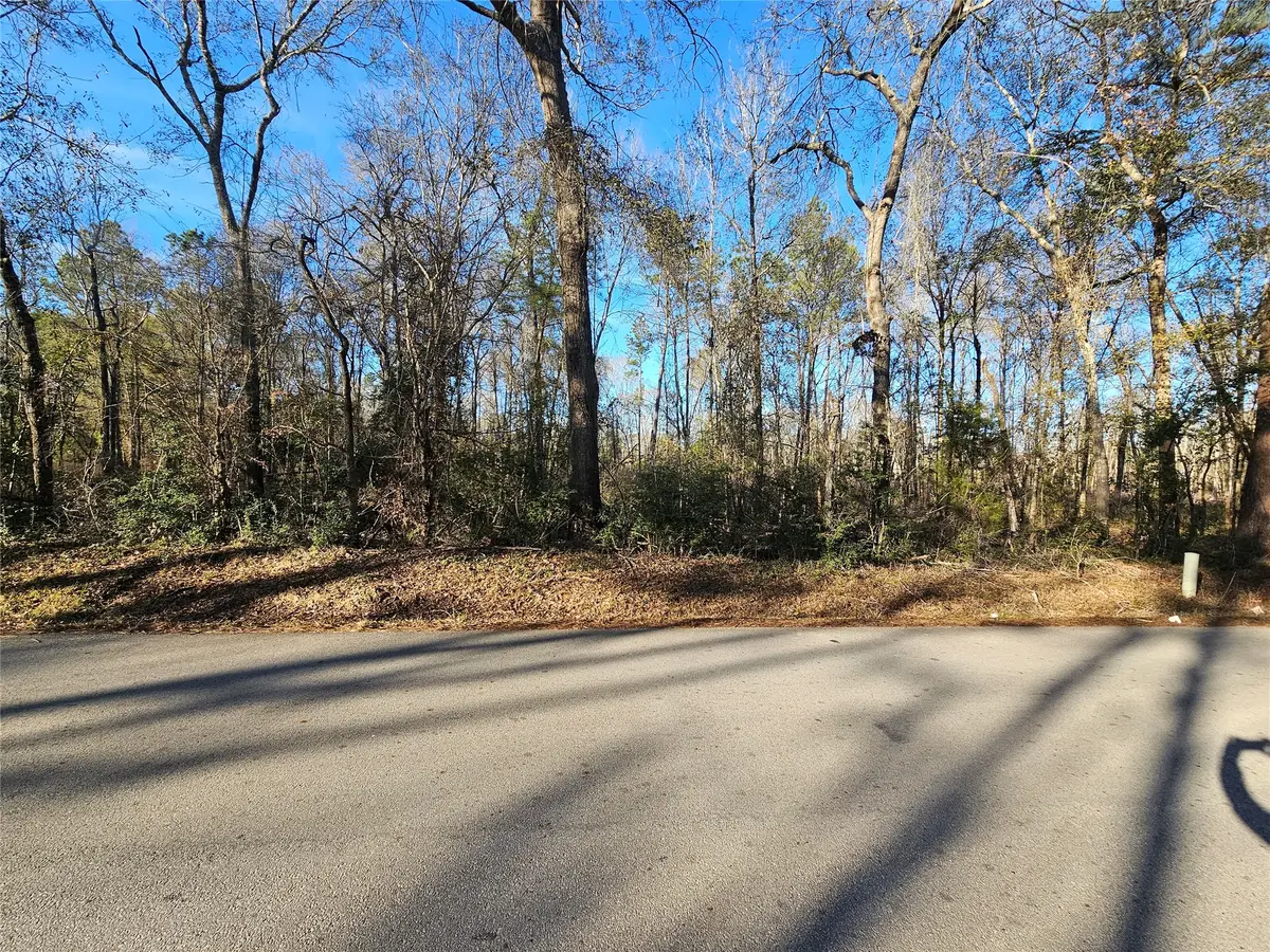 Lot 3 Sherwood Drive, Shepherd, TX 77371 - #1