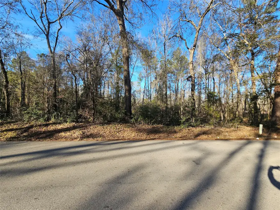Lot 3 Sherwood Drive, Shepherd, TX 77371 - #2
