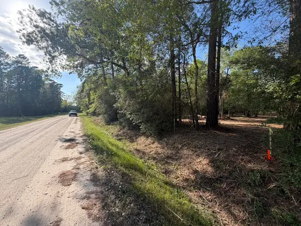 30505 N Walnut Creek Drive, Waller, TX 77484