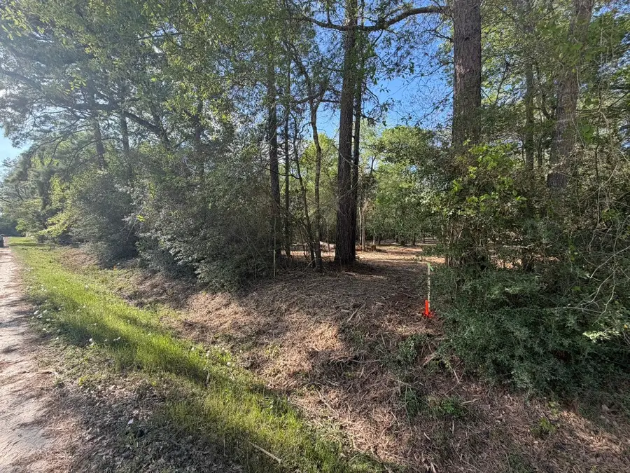 30505 N Walnut Creek Drive, Waller, TX 77484 - #2