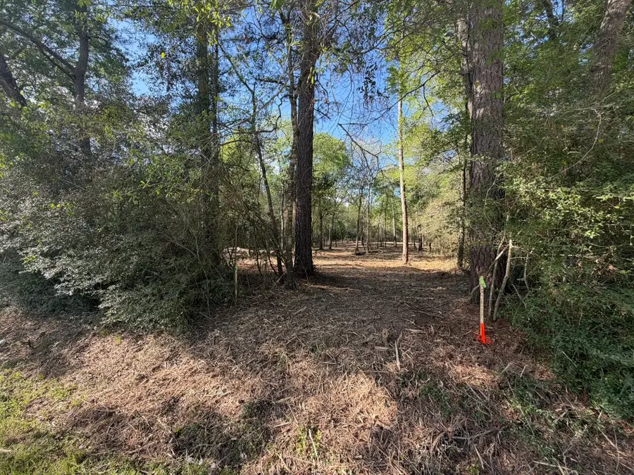 30505 N Walnut Creek Drive, Waller, TX 77484 - #3