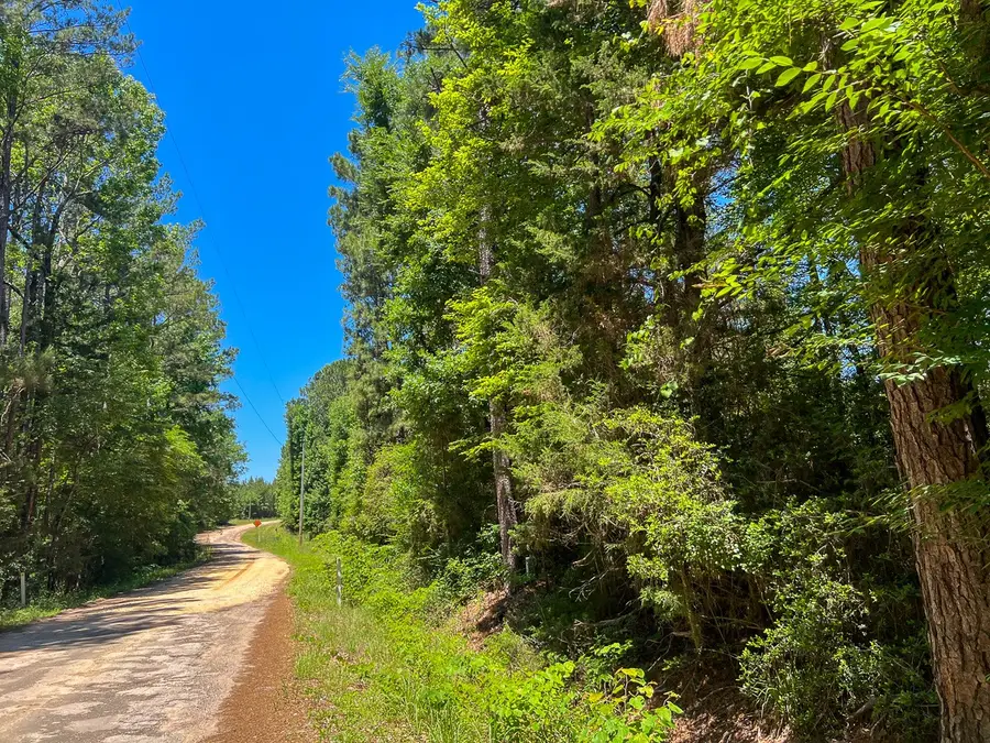 17 Union Springs Road, Corrigan, TX 75939 - #2