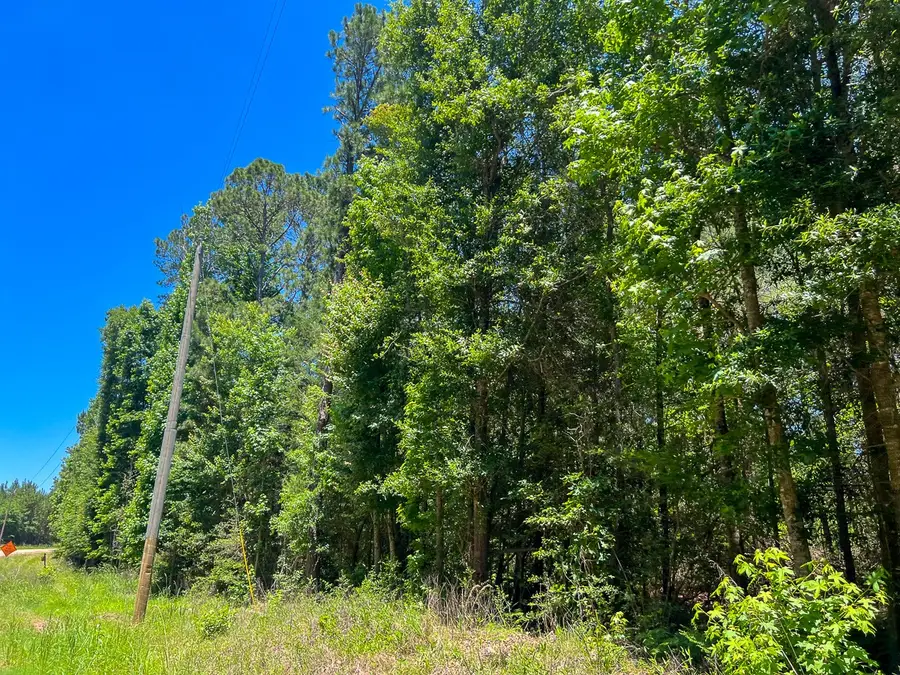 17 Union Springs Road, Corrigan, TX 75939 - #3