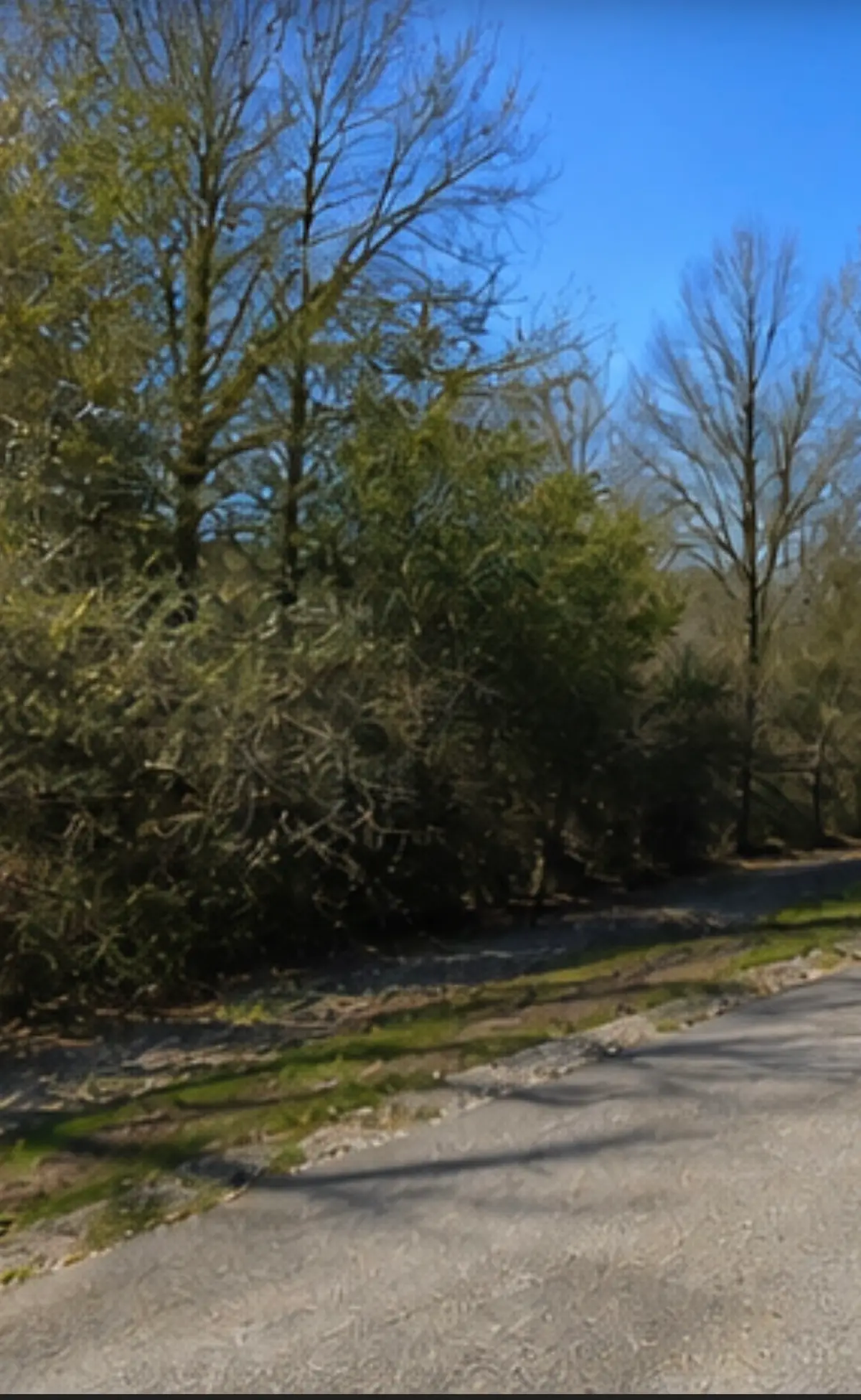 0 Hilltop Road, Kendleton, TX 77435 - #1