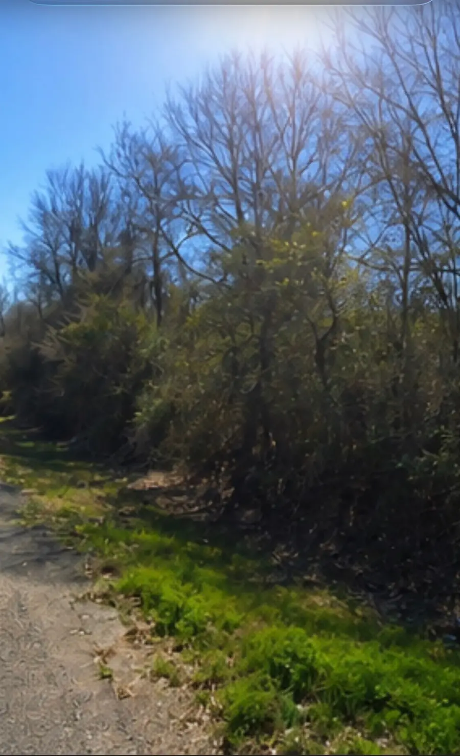 0 Hilltop Road, Kendleton, TX 77435 - #2