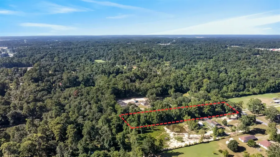 22181 Walnut Drive, Porter, TX 77365 - #3