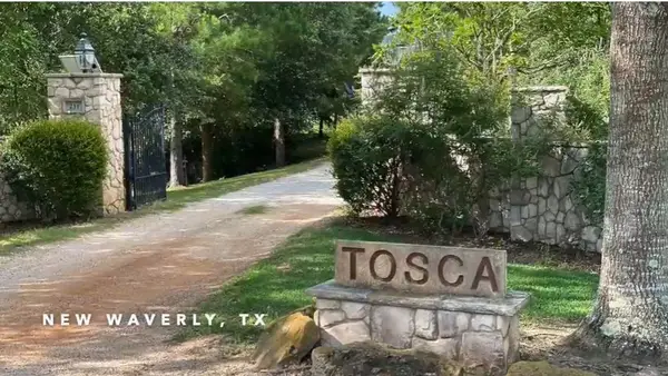 231 Hostetter Rd, New Waverly, TX 77358