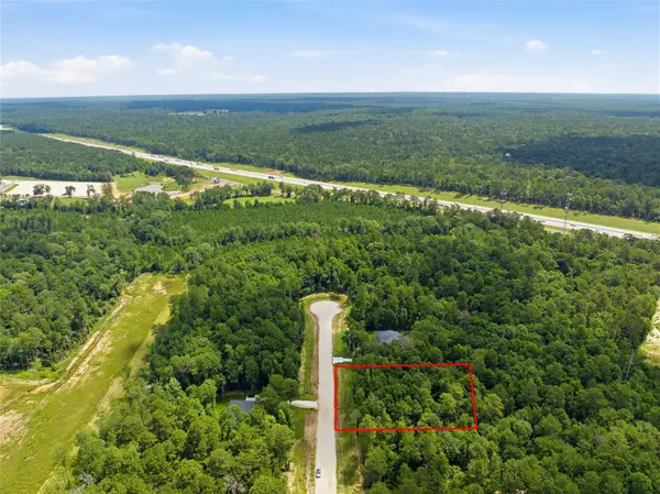 222 Hollow Hill Drive, New Waverly, TX 77340