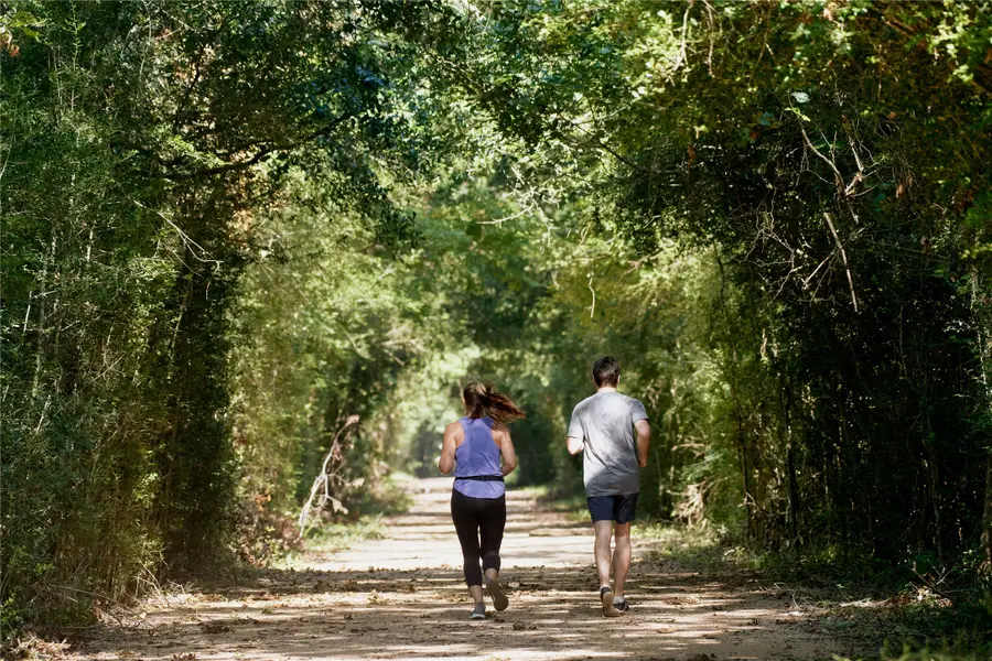 22014 Dahoon Holly Way, Cypress, TX 77433 - Image #3