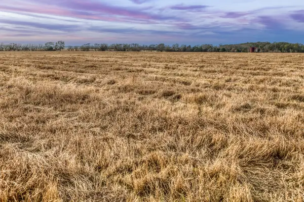 TBD County Road 318, Caldwell, TX 77836