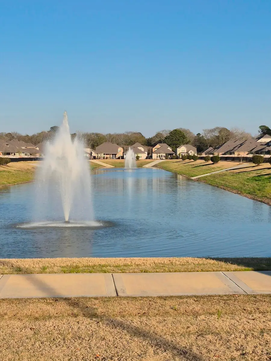 25832 Rugosa Drive, Magnolia, TX 77355 - #2