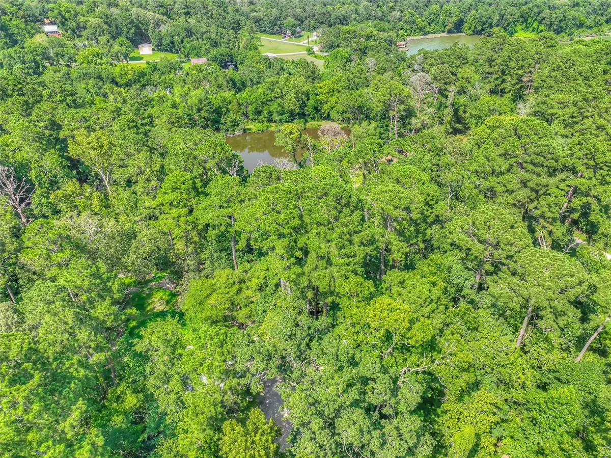 TBD Buckeye Lane, Point Blank, TX 77364 - #1