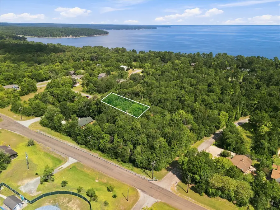 761 N Forest Cove Loop, Coldspring, TX 77331 - #3