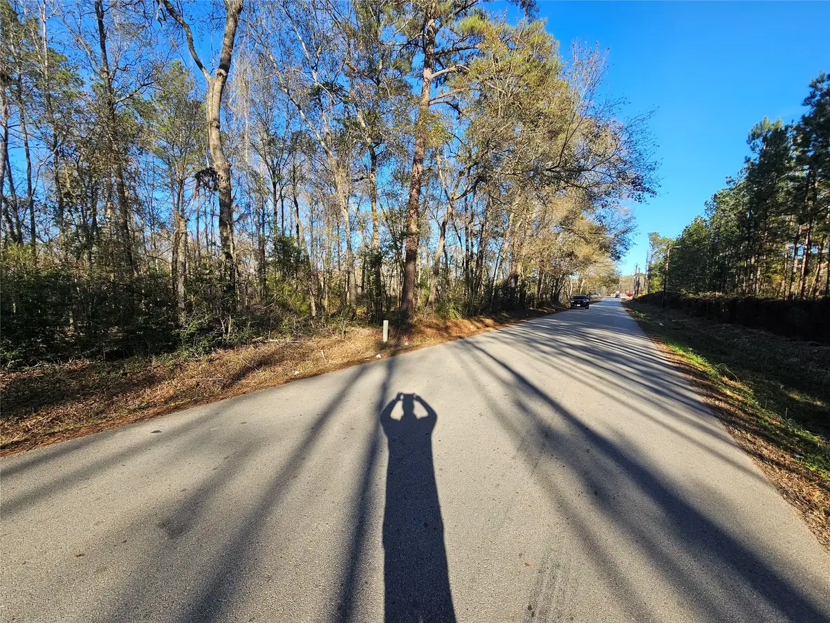 Lot 2 Sherwood Drive, Shepherd, TX 77371 - #1