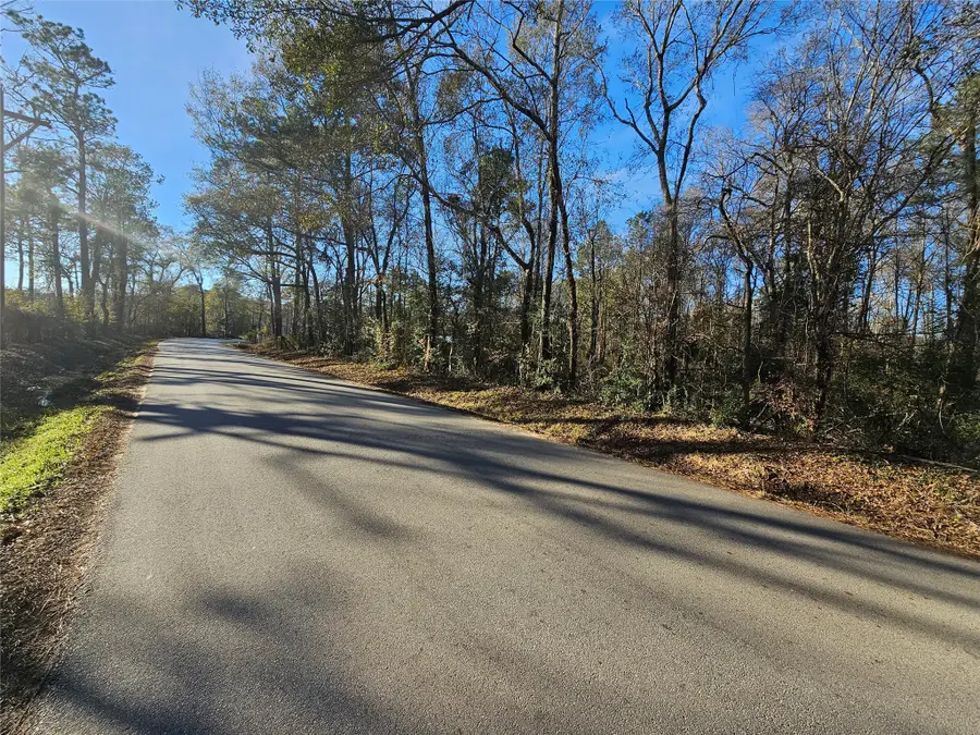 Lot 2 Sherwood Drive, Shepherd, TX 77371 - #2