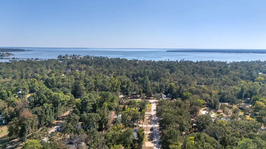 194 Pine Needle St, Onalaska, TX 77360 - Image #3