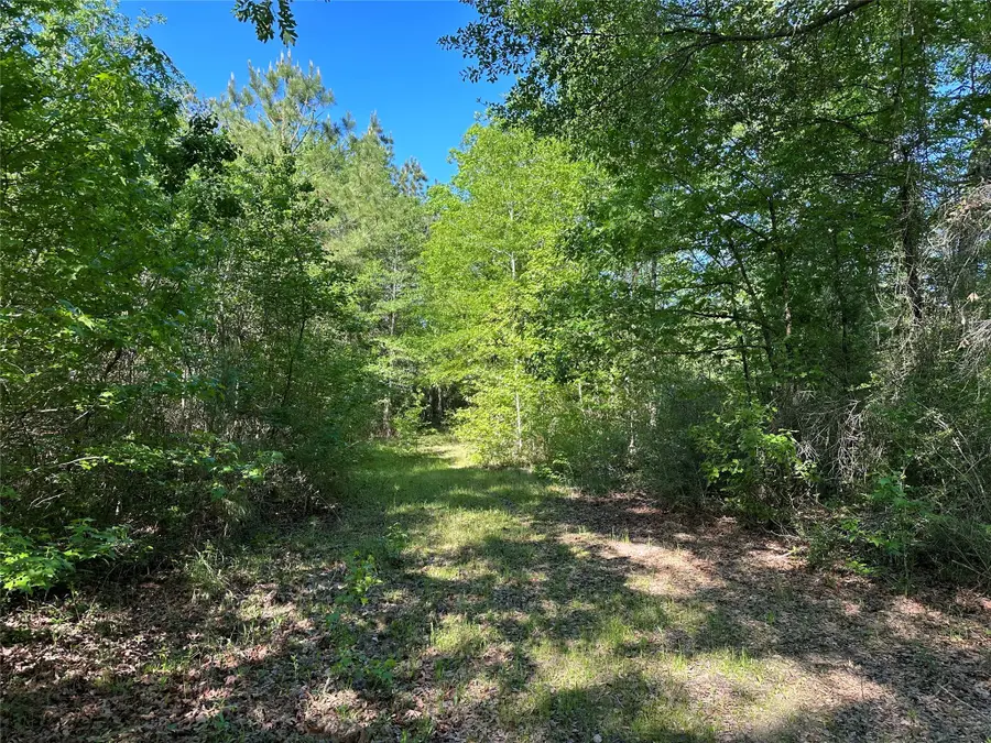 0 Hardy Bottom Road, Huntsville, TX 77340 - Image #2