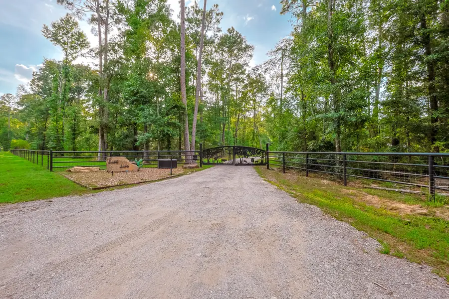 6409 Medley Road, New Waverly, TX 77358 - #2