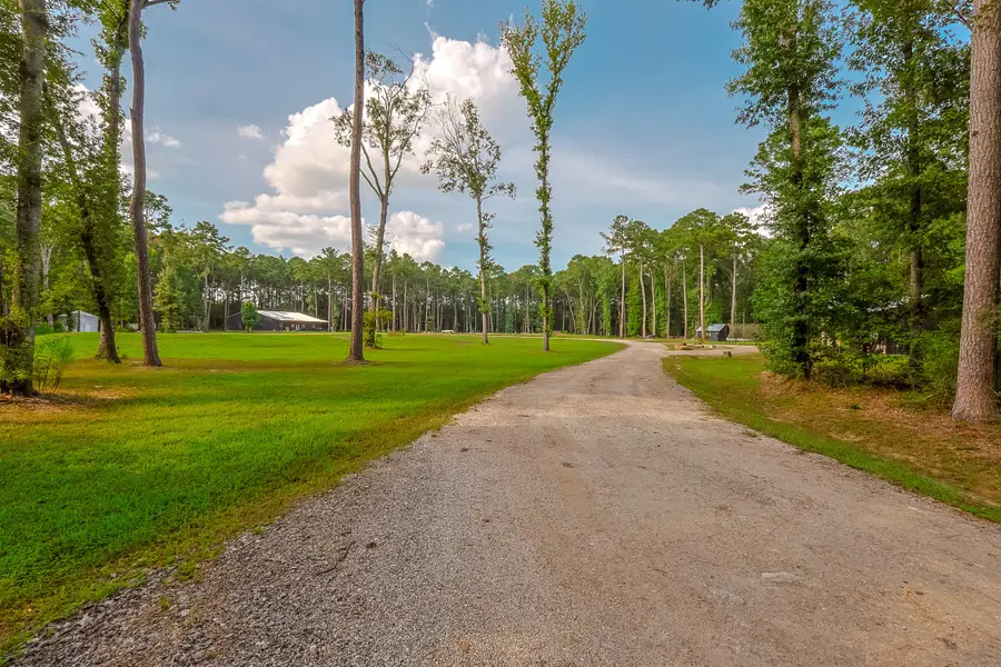 6409 Medley Road, New Waverly, TX 77358 - #3