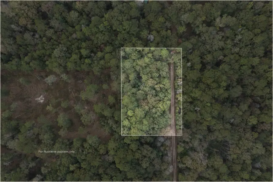 TBD Firetower, Conroe, TX 77306 - Image #2