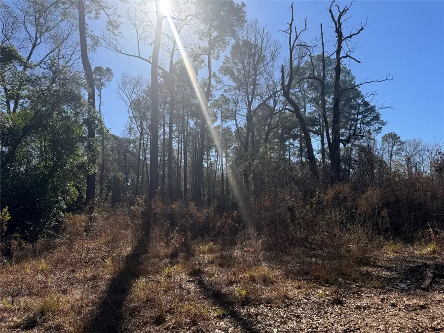 247 & 248 Cypress Street, Huffman, TX 77336 - Image #3