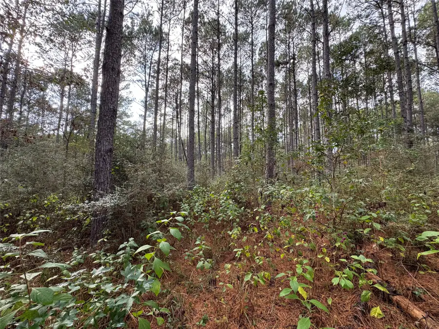 64-22-12 Granite Road, Huntsville, TX 77340 - Image #3