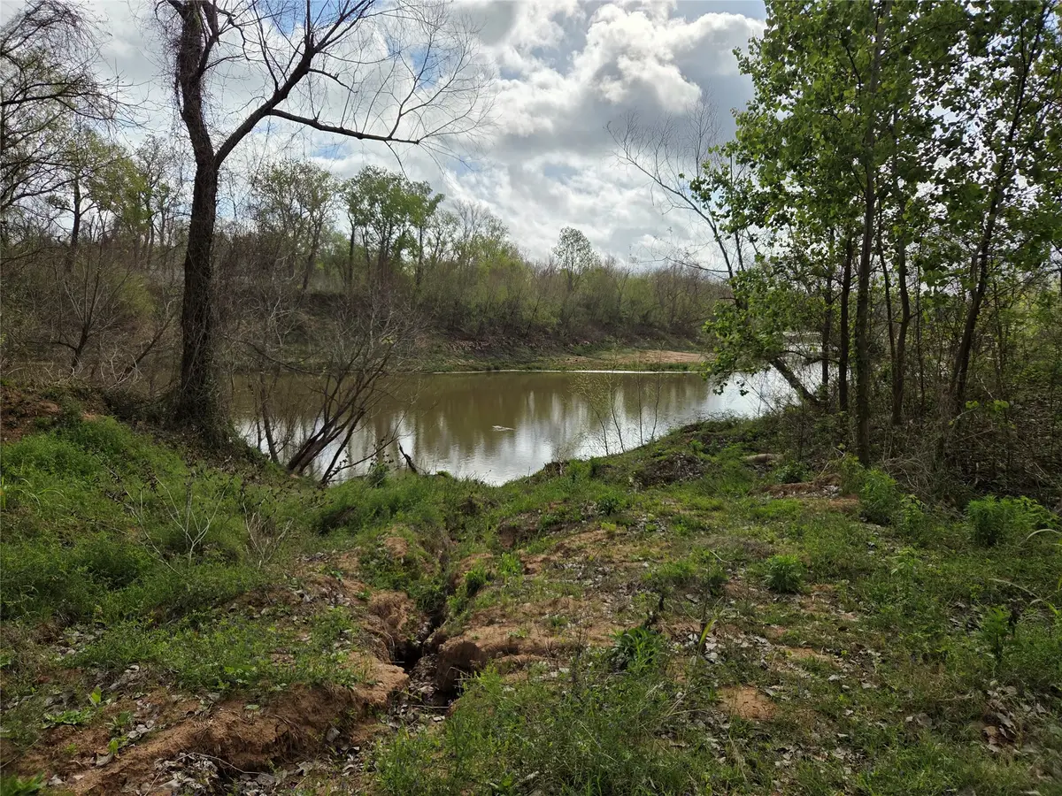 0 Kings Oak Drive, Damon, TX 77430 - #1