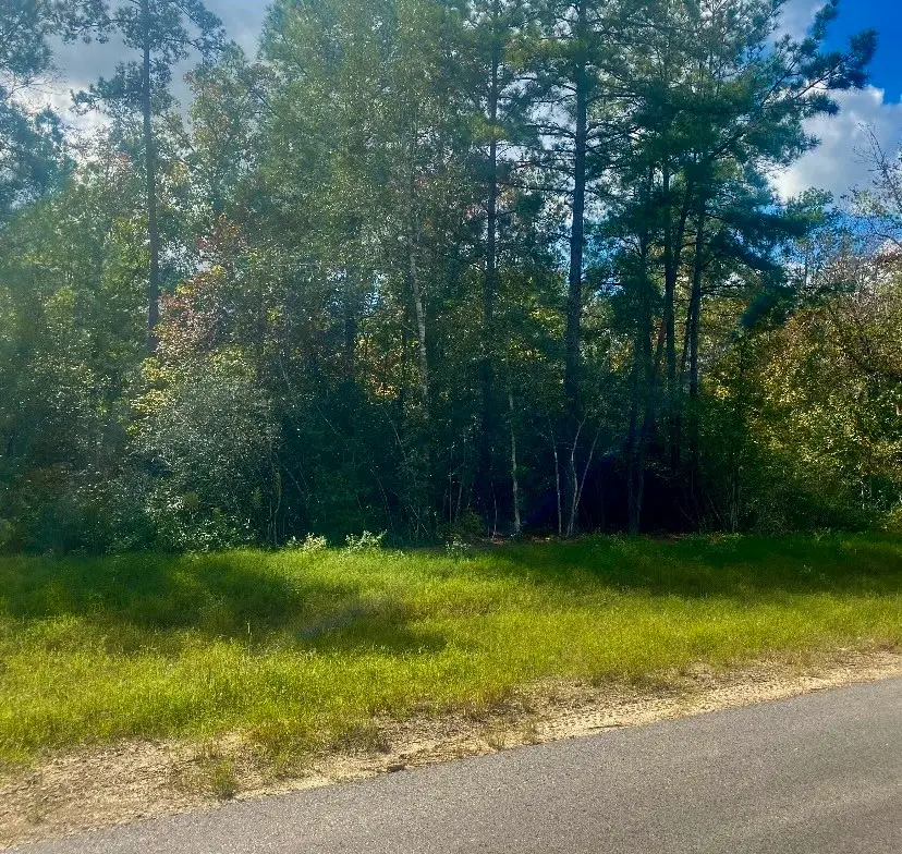 15629 Forest Knoll Road, Willis, TX 77378 - #2