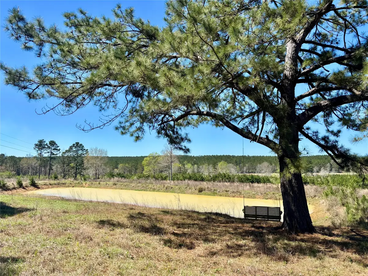 1105 County Road 3550, Woodville, TX 75979 - #1