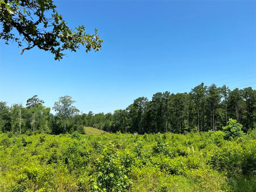 04 Carters Ferry Road, Milam, TX 75959 - #3