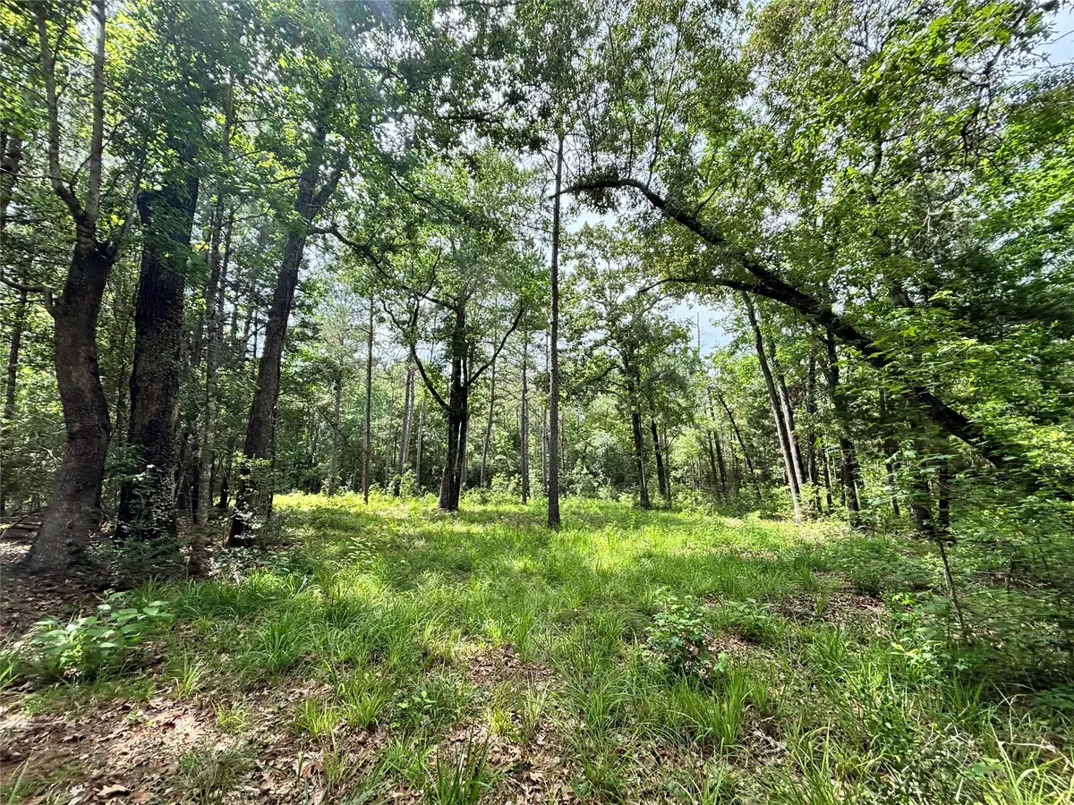 000 Peyton Lane, Hillister, TX 77624 - #1