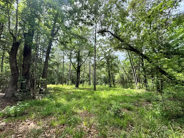 000 Peyton Lane, Hillister, TX 77624