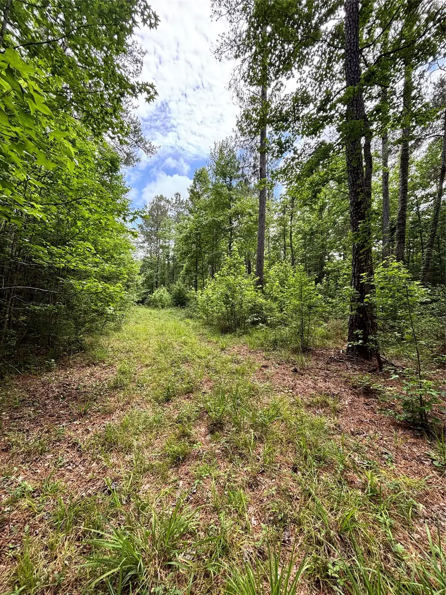 000 Peyton Lane, Hillister, TX 77624 - #2