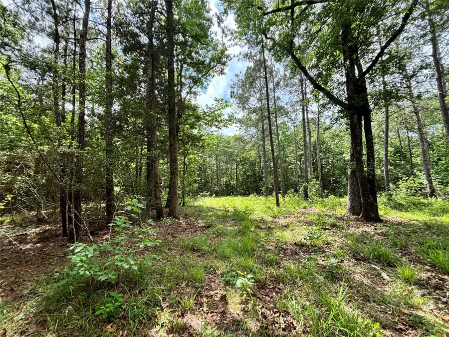 000 Peyton Lane, Hillister, TX 77624 - #3