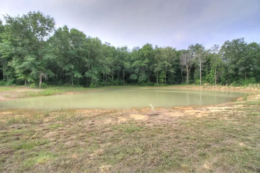 618 Cr 2619, Alto, TX 75925 - #1