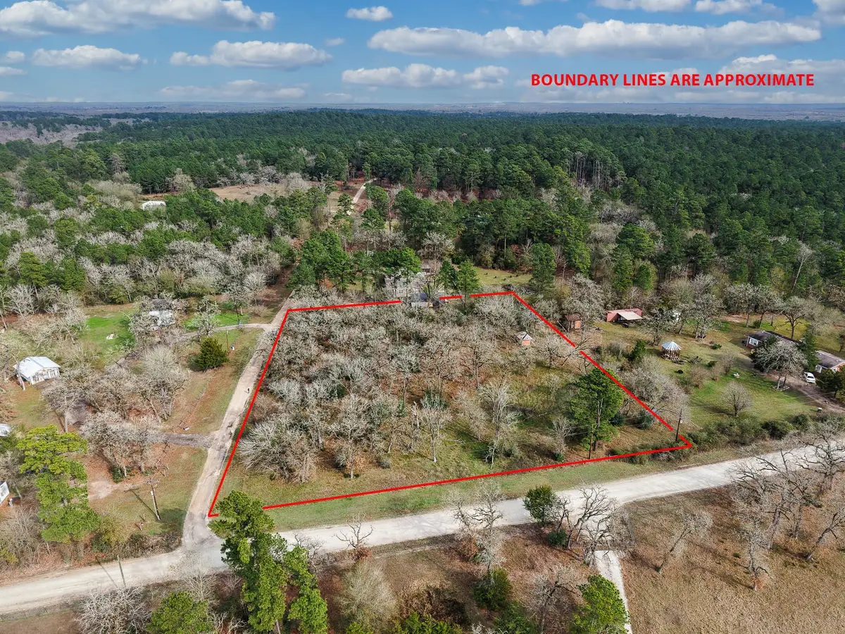 TBD Cr 151, Bedias, TX 77831 - Image #1