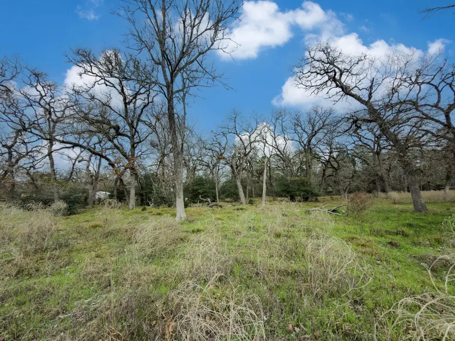 TBD Cr 151, Bedias, TX 77831 - Image #3