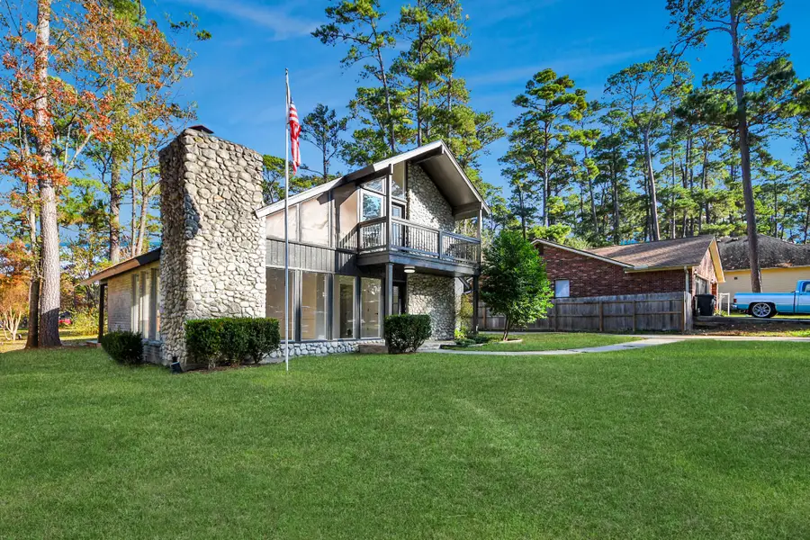 13946 Dolphin Drive, Willis, TX 77318 - #2