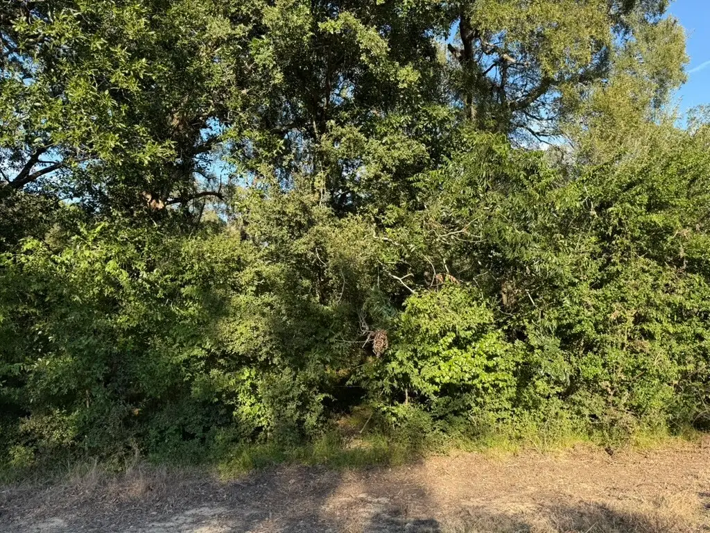 0 Laguna Vista Drive, Needville, TX 77461 - Image #1