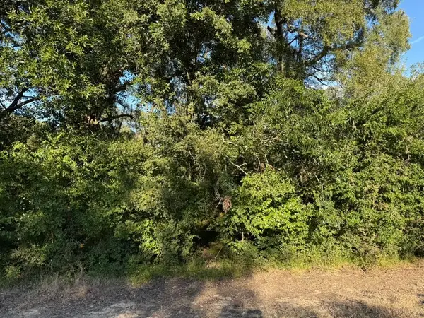 0 Laguna Vista Drive, Needville, TX 77461