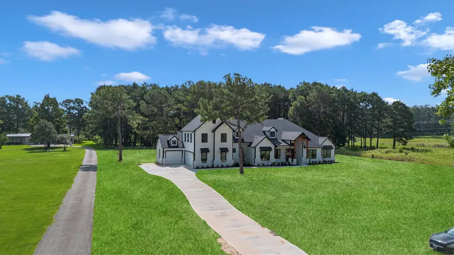 10075 Leonidas Horton Road, Conroe, TX 77304 - #2