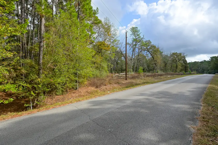 28016 Greenbriar Drive, Hockley, TX 77447 - #3