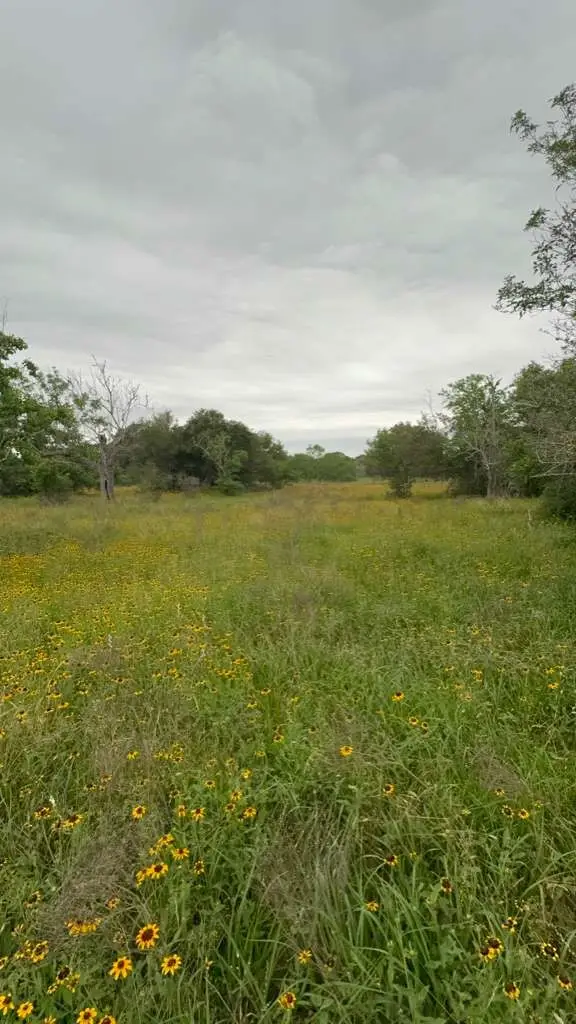 TBD Tbd, Columbus, TX 78934 - #2