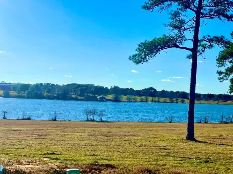 Lot 29 E Lakeland Court, Hillister, TX 77624 - #2