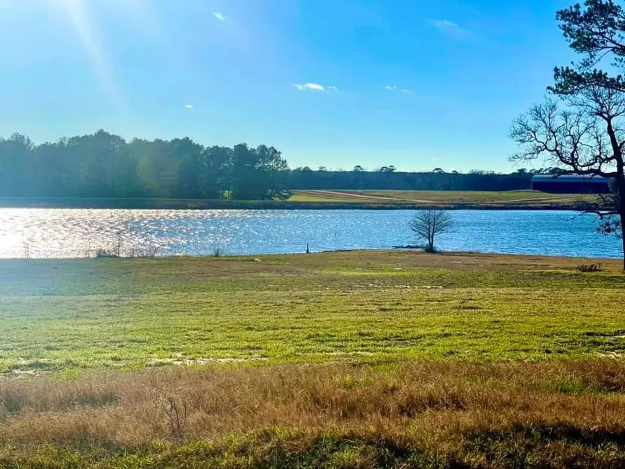 Lot 29 E Lakeland Court, Hillister, TX 77624 - #3
