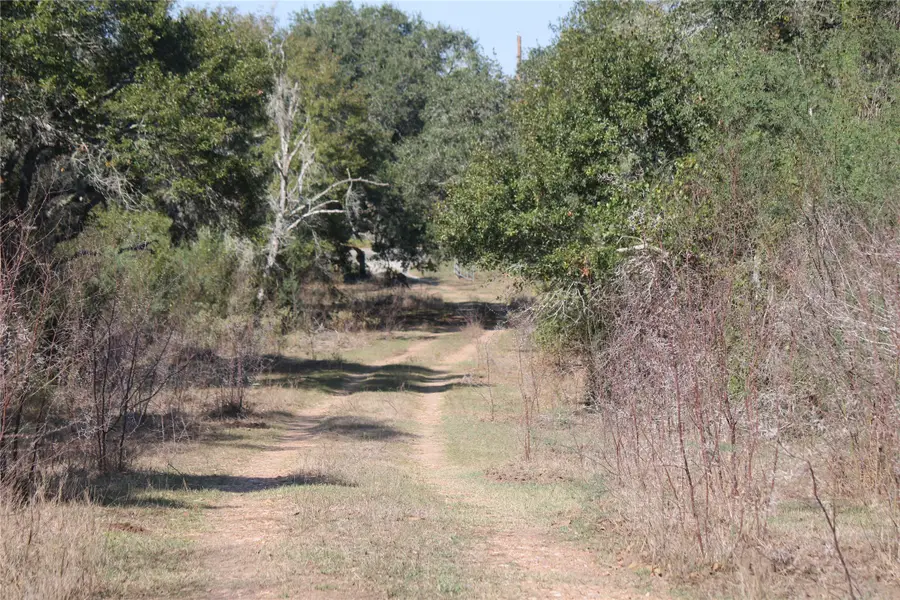 3514 Highway 90, Glidden, TX 78943 - Image #2