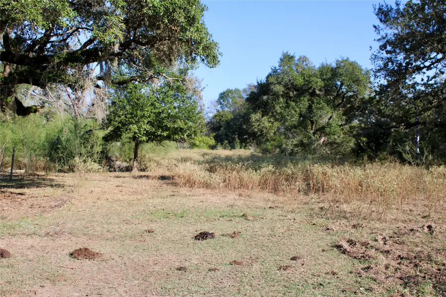 3514 Highway 90, Glidden, TX 78943 - Image #3