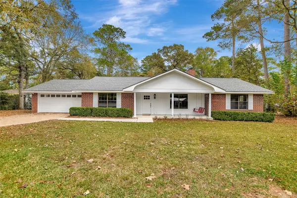 18742 Mink Lake Drive, Magnolia, TX 77355